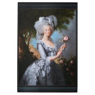 Marie Antoinette With A Rose Metal Print