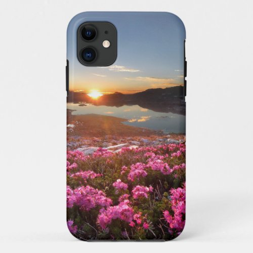 Marie Lakes Sunrise _ John Muir Trail _ Ansel Adam iPhone 11 Case