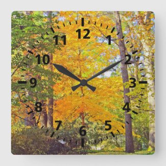 MARIGOLD AND LIME GREEN TREES IN WOODS