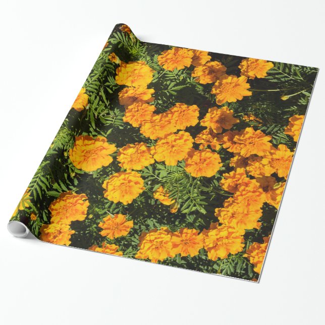 Marigold blossoms wrapping paper (Unrolled)