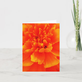 Marigold Card