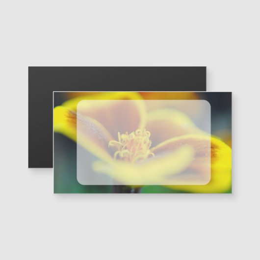 Marigold Close Up (Front/Back)