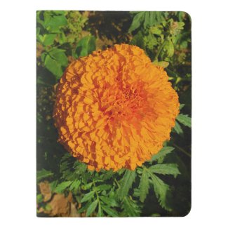 Marigold Extra Large Moleskine Notebook