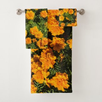 Marigold flower Blossom