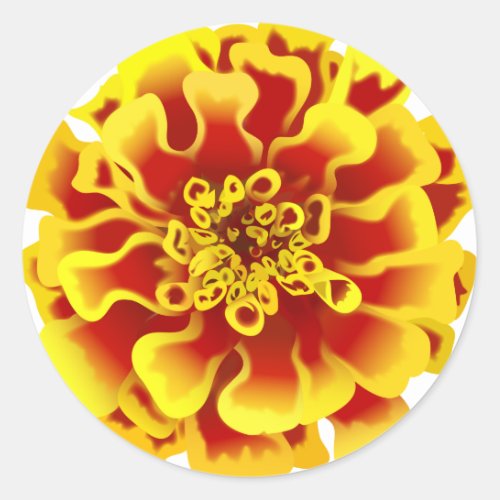 Marigold Flower Classic Round Sticker