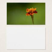 Marigold Flower Closeup (Front & Back)