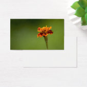 Marigold Flower Closeup (Desk)