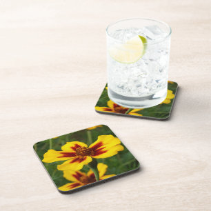 Marigold Flower Coasters