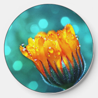 Marigold Flower on Teal Wireless Charger