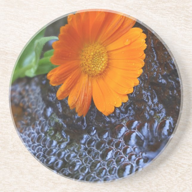 Marigold Flower Photograph Coaster (Front)