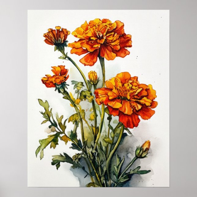 Marigold Flowers Art Print Poster (Front)