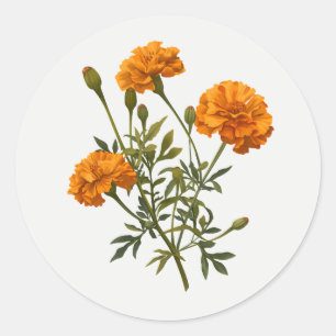 Marigold Gold yellow Garden Flower Floral art Classic Round Sticker
