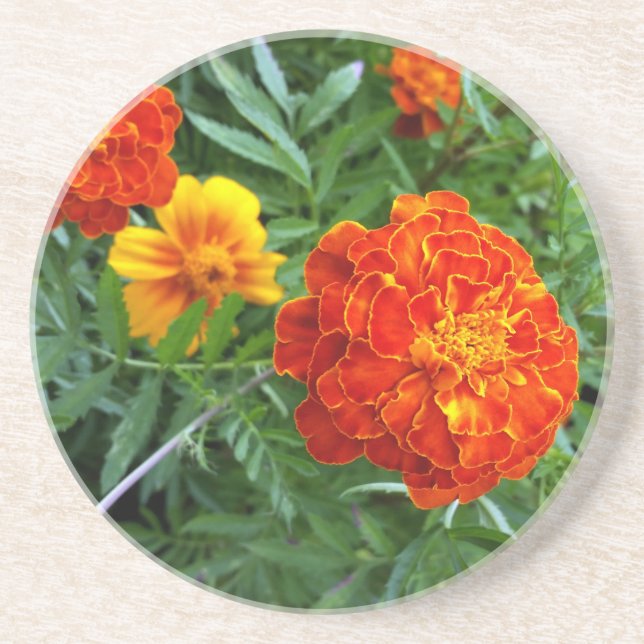 marigold in the sun sandstone coaster (Front)