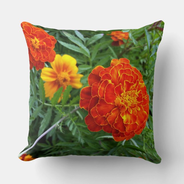 marigold in the sun throw pillow (Front)