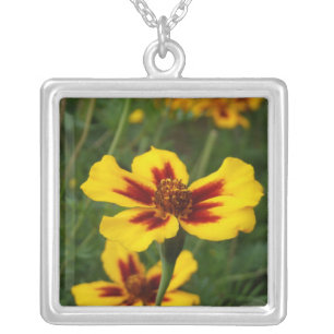 Marigold Necklace