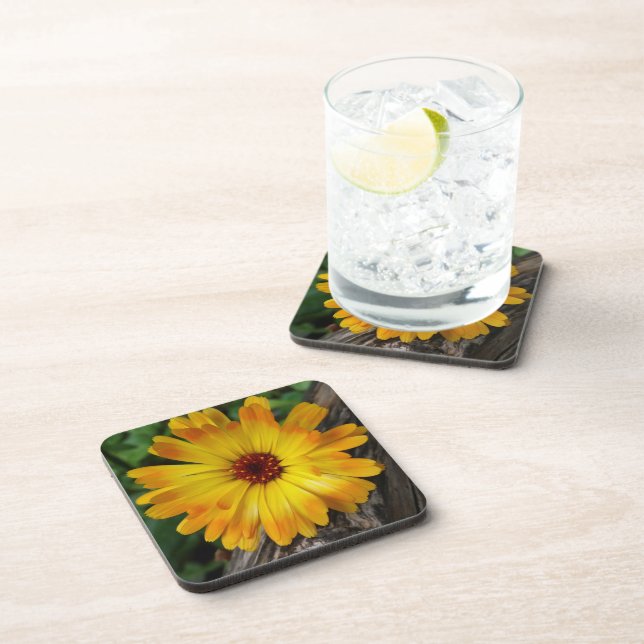 marigold on log beverage coaster (Right Side)