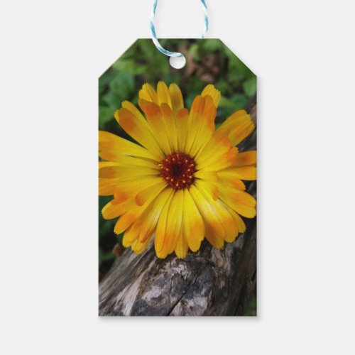marigold on log gift tags