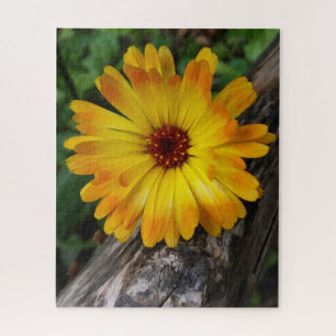 marigold on log jigsaw puzzle
