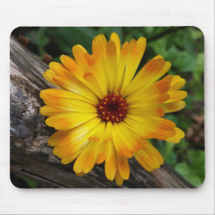marigold on log mouse pad