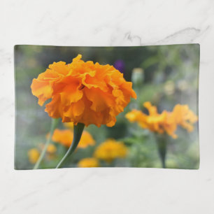 Marigold Orange Flower Nature Photography Garden Trinket Tray