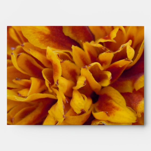 Marigold Petals Envelope (Front)