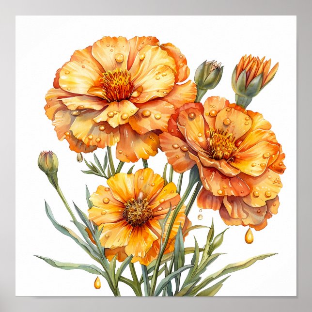 Marigold Print, Orange Flowers Wall Art  (Front)