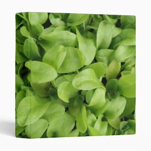 Marigold Seedlings Binder