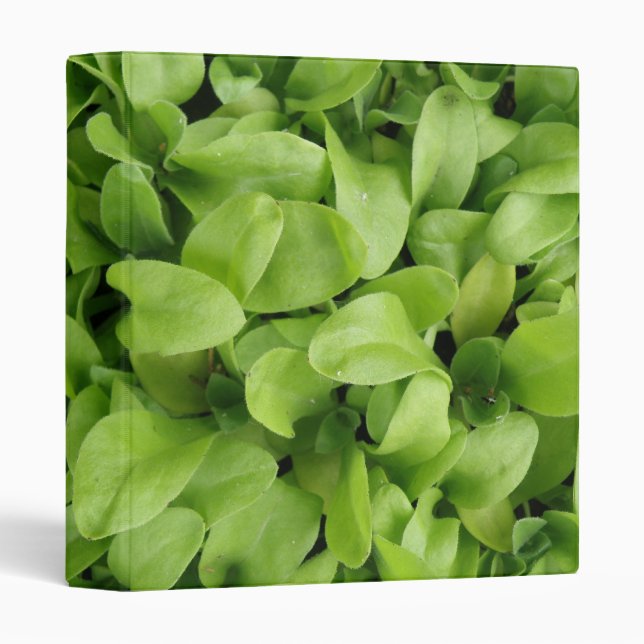Marigold Seedlings Binder (Front/Spine)