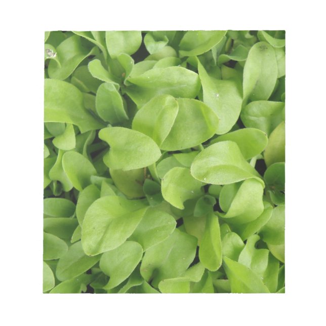 Marigold Seedlings Notepad (Front)