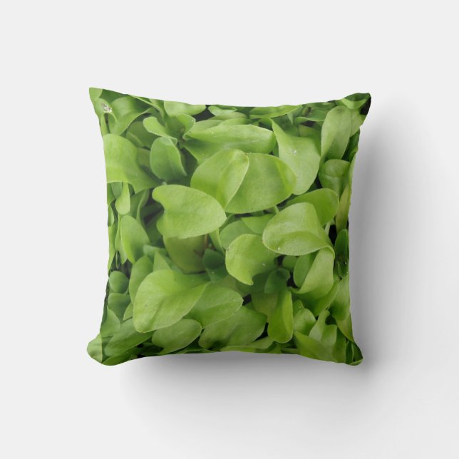 Marigold Seedlings Pillow (Front)