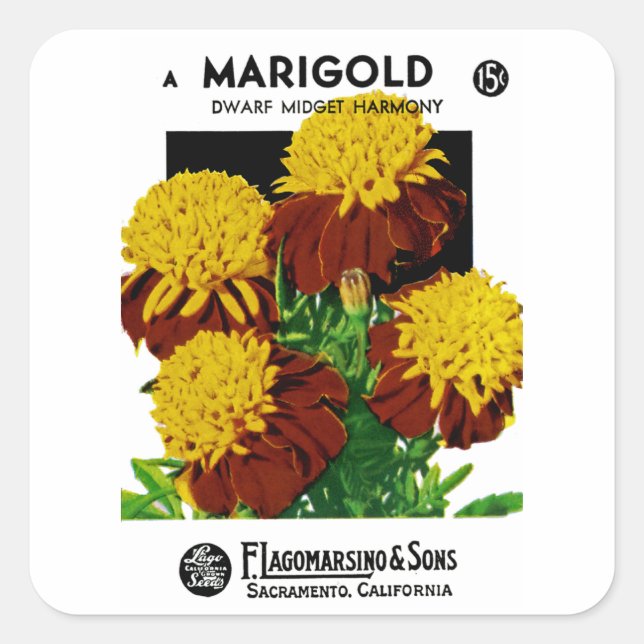 Marigold Square Sticker (Front)