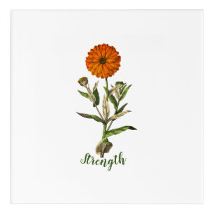 Marigold Strength Inspirational Acrylic Print