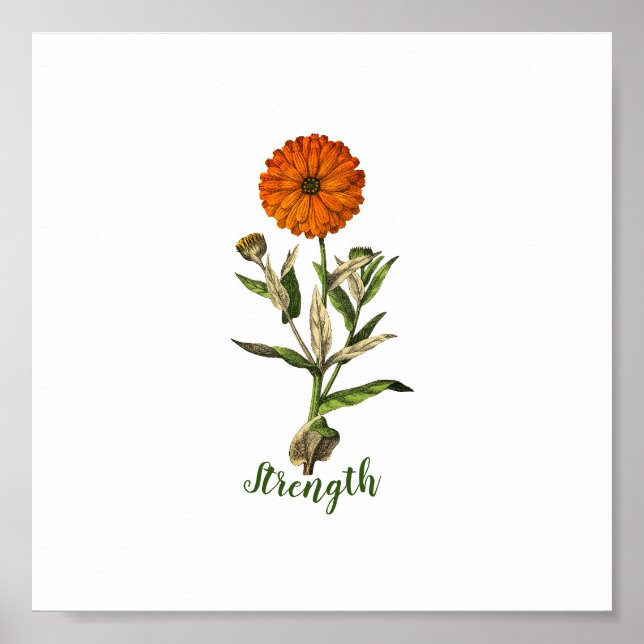 Marigold Strength Inspirational Poster (Front)