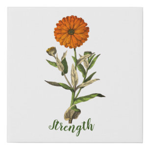 Marigold Strength Inspirational Wall Canvas Art