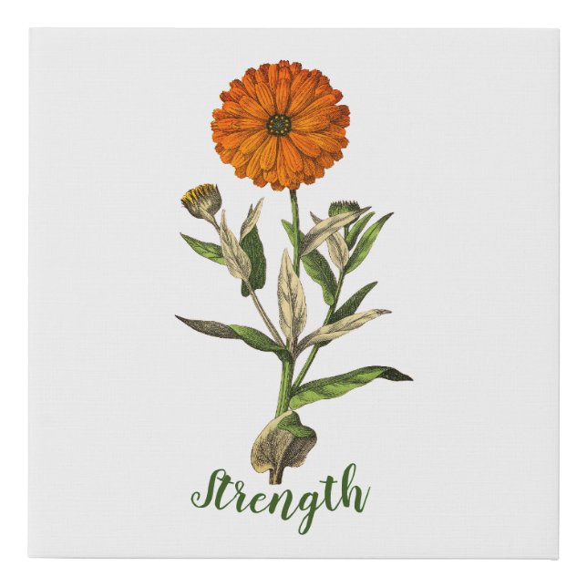 Marigold Strength Inspirational Wall Canvas Art (Front)