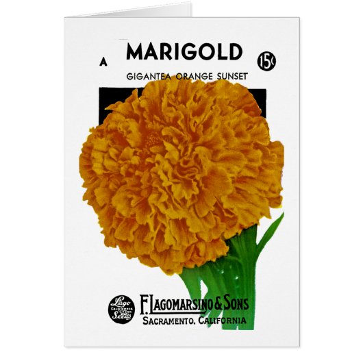 Marigold Vintage Seed Packet Cards (Front)
