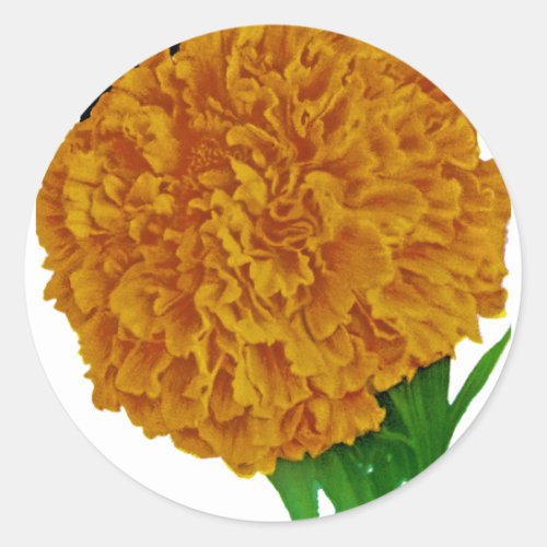 Marigold Vintage Seed Packet Classic Round Sticker