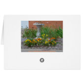 Marigolds, Autumn Wishes (Back Horizontal)