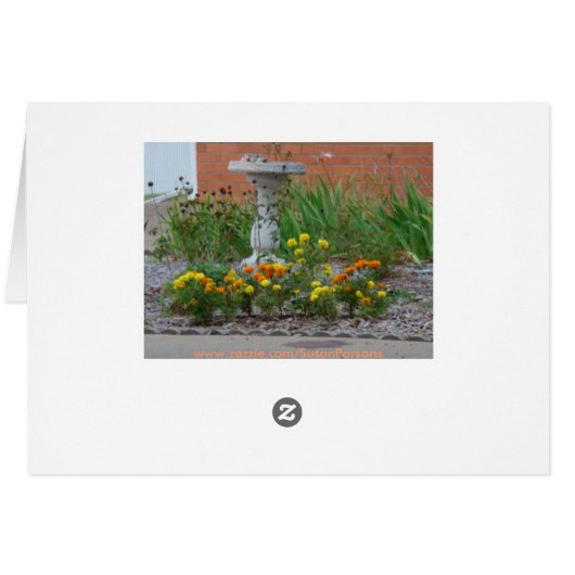 Marigolds, Autumn Wishes (Back Horizontal)