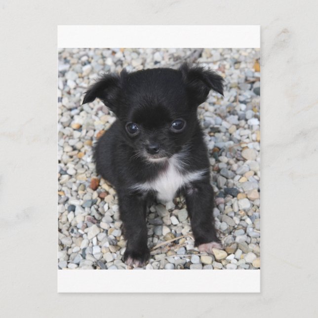 marika2 postcard (Front)