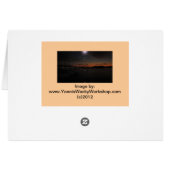 Marina Del Rey 2012 (Back Horizontal)