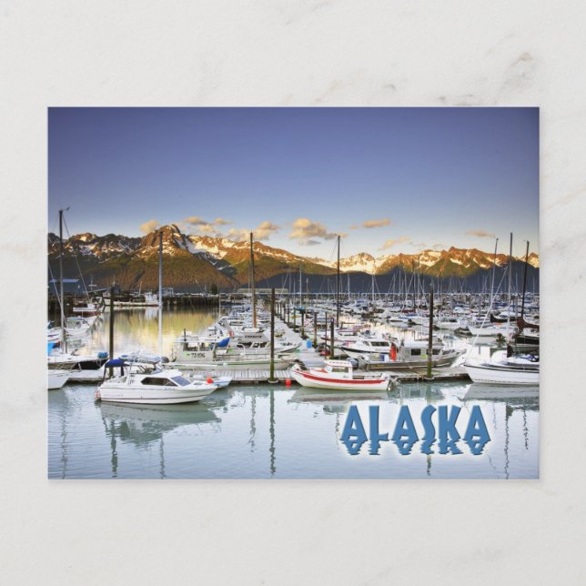 Marina in Seward, Alaska Postcard (Front)