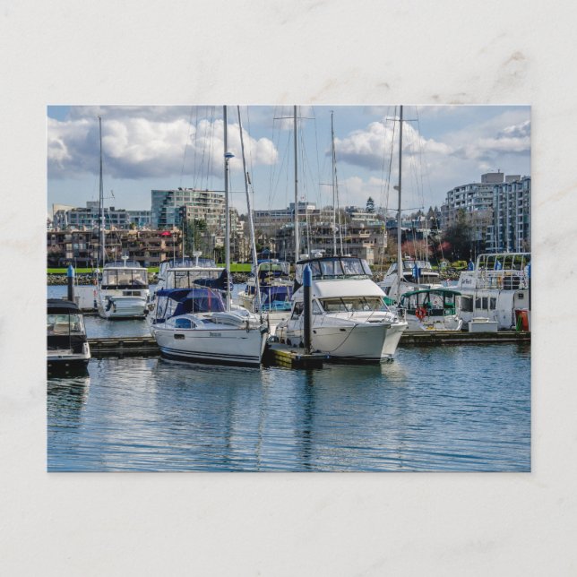 Marina, Sea Wall Invitation Postcard (Front)