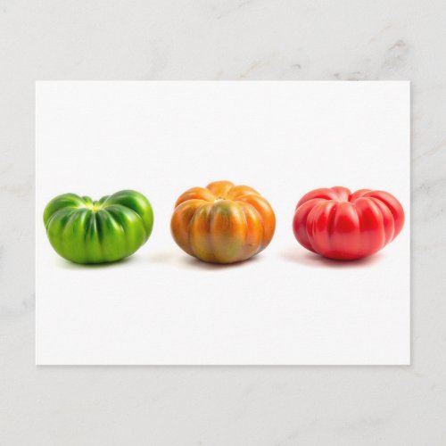Marinda Tomatoes Postcard