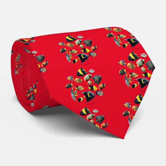 Marine angelfish tie (Rolled)