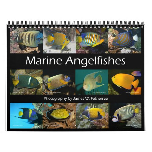 Marine Angelfishes Wall Calendar by JW Fatherree