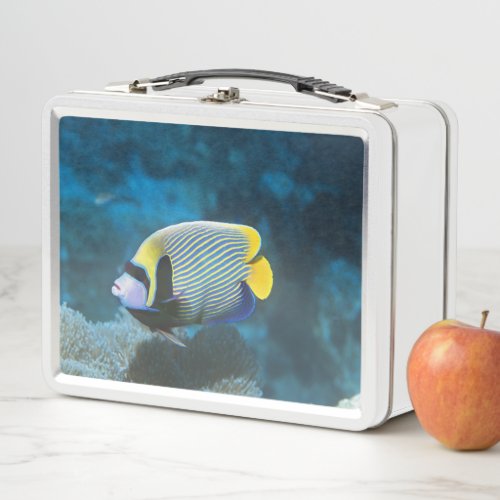 Marine Animal Emperor Angelfish Unique Coloration Metal Lunch Box
