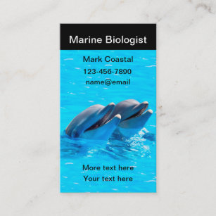 Marine Biologist Dolphin Theme Business Card