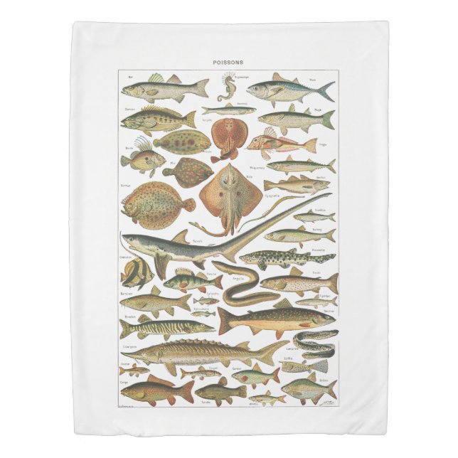 Marine biology aesthetic fish chart duvet cover (Front)