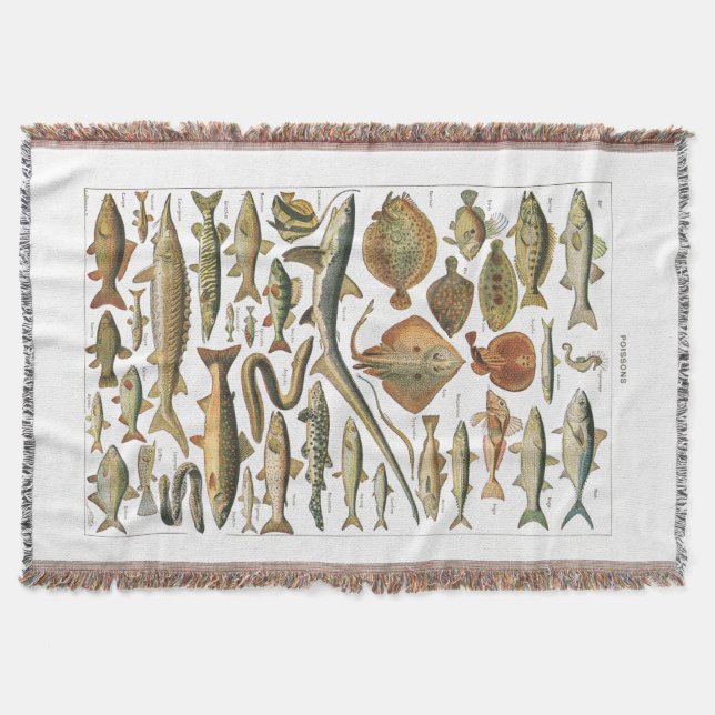 Marine biology aesthetic fish chart throw blanket (Front)